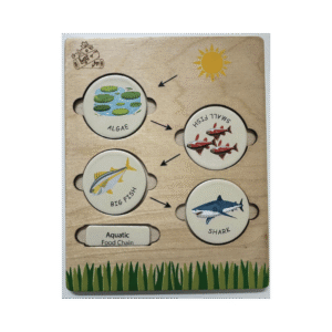 Food Chain